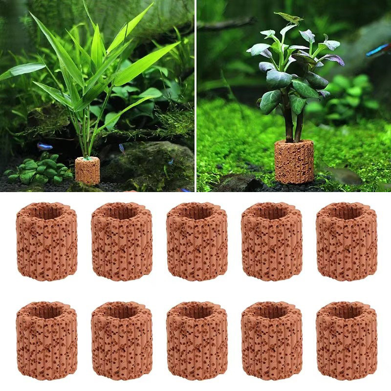 Aquarium Plant Design - 20 Chiếc Thủy Sinh Nước Nhẫn