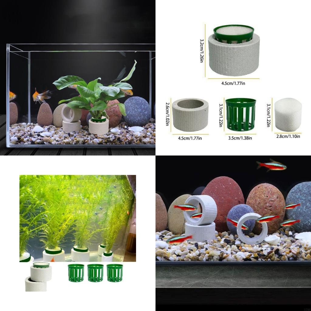 Aquarium Planted Background - 37ME 10 Chiếc Bể Cá Vật
