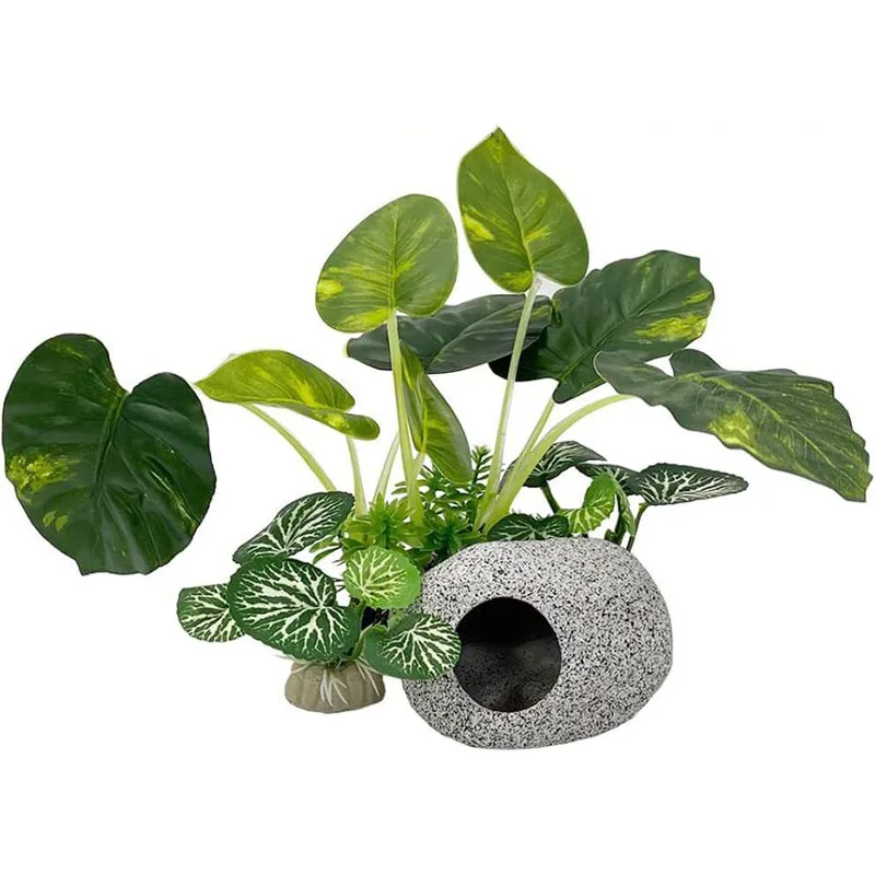 Aquarium Planted Background - Small Underwater Grass Aquarium Fish Tank