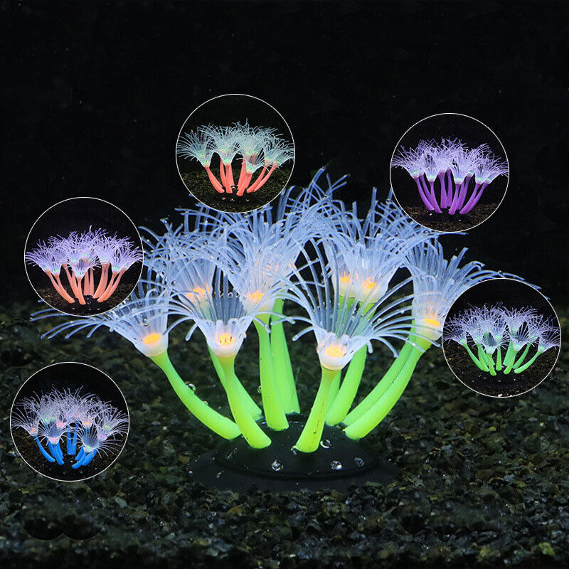 50/75/100CM Linh Hoạt Hải Quỳ  - đánh giá và giá Aquarium Plant Design
