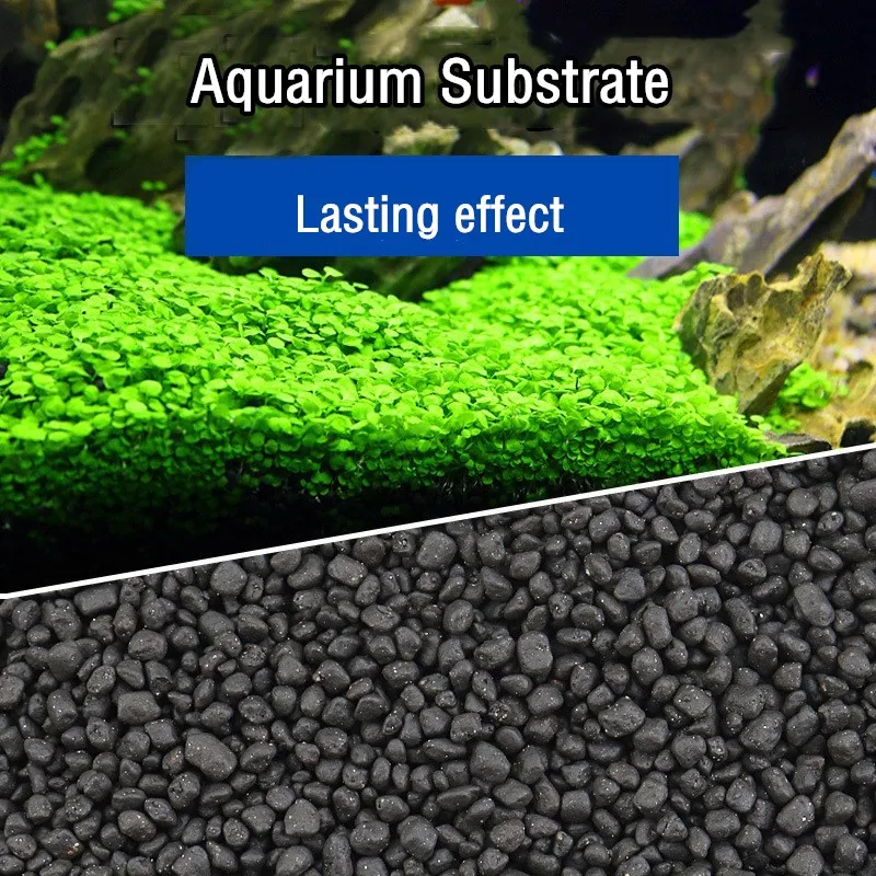 500g Aquarium Planted Soil Sub - đánh giá và giá Planted Aquarium With Sand