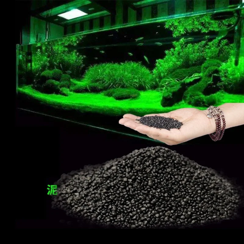 500g Aquarium Planted Soil Sub - đánh giá và giá Planted Aquarium With Sand
