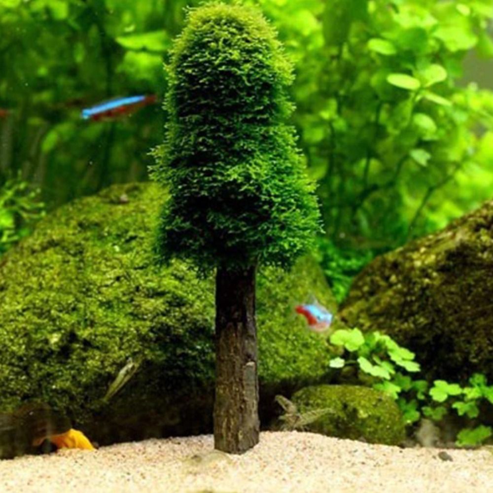 Simulation Christmas Tree Aqua - đánh giá và giá Aquarium Planted Background