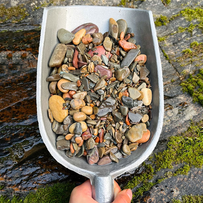 500g Fish Tank Bottom Sand Sto - đánh giá và giá Planted Aquarium With Sand