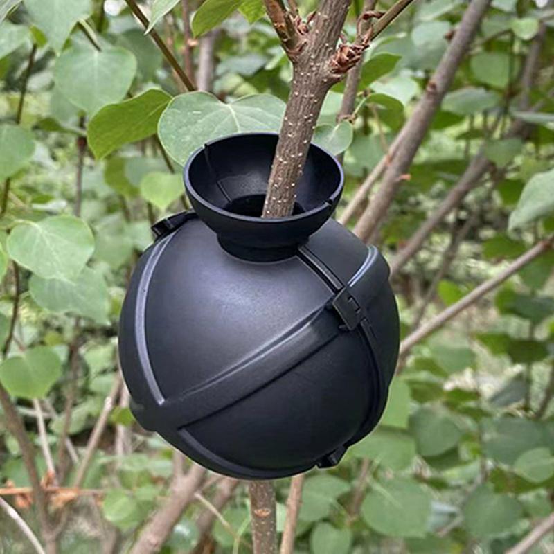 Propagation Ball Air Layering  - đánh giá và giá Aquasoil Substrate