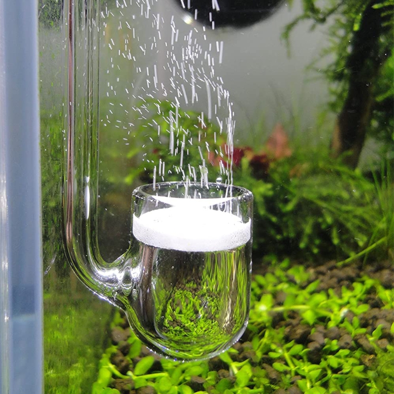 Máy khuếch tán CO2 thủy tinh D - đánh giá và giá Aquarium Plant Design