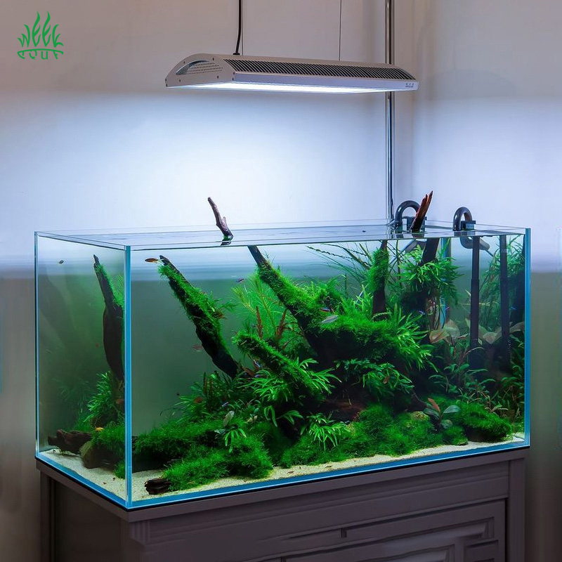 Week Aqua A430Pro LED Aquarium - đánh giá và giá Planted Aquarium Uv Light