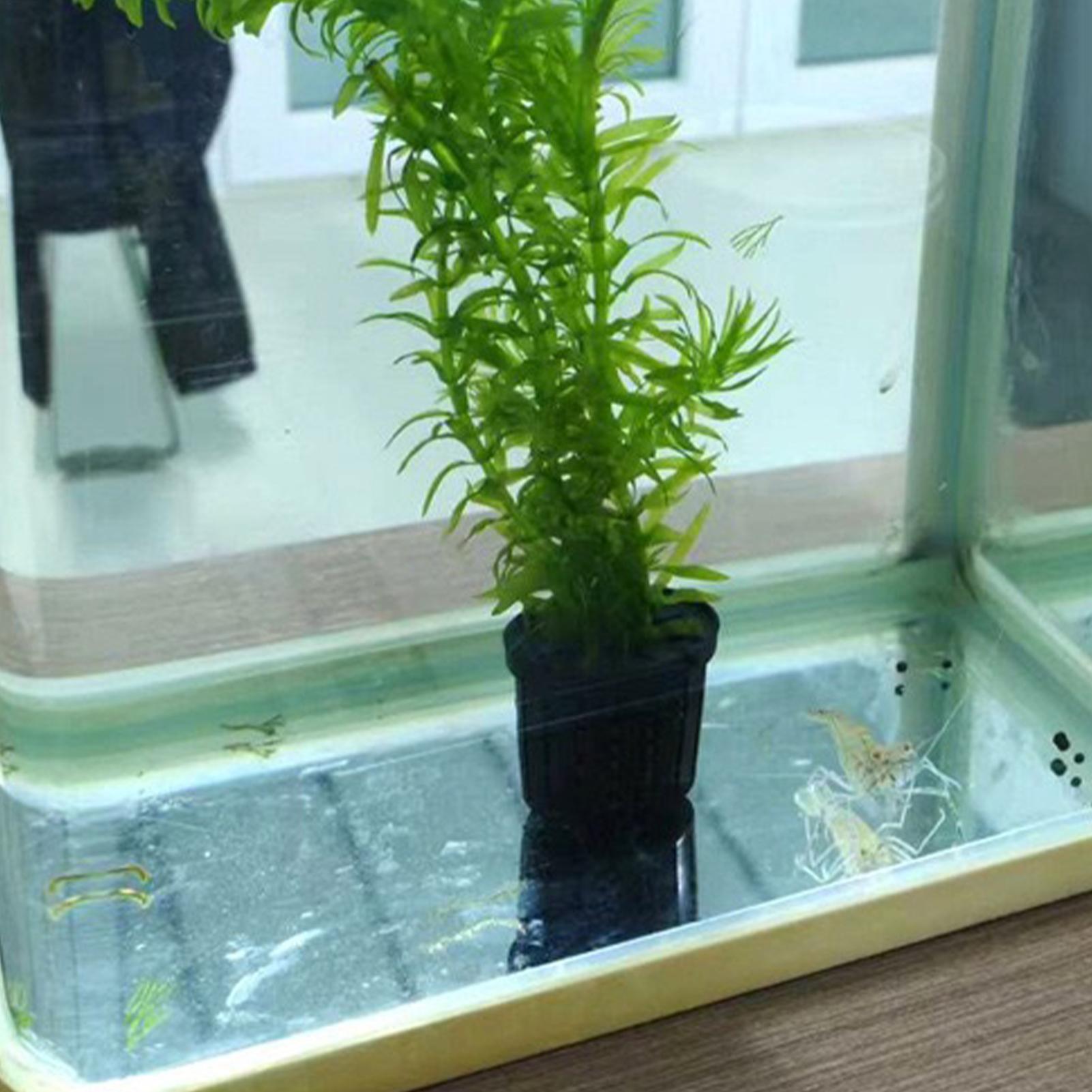 4 Pieces Hydroponic Plant Bask - đánh giá và giá Aquarium Planted Background