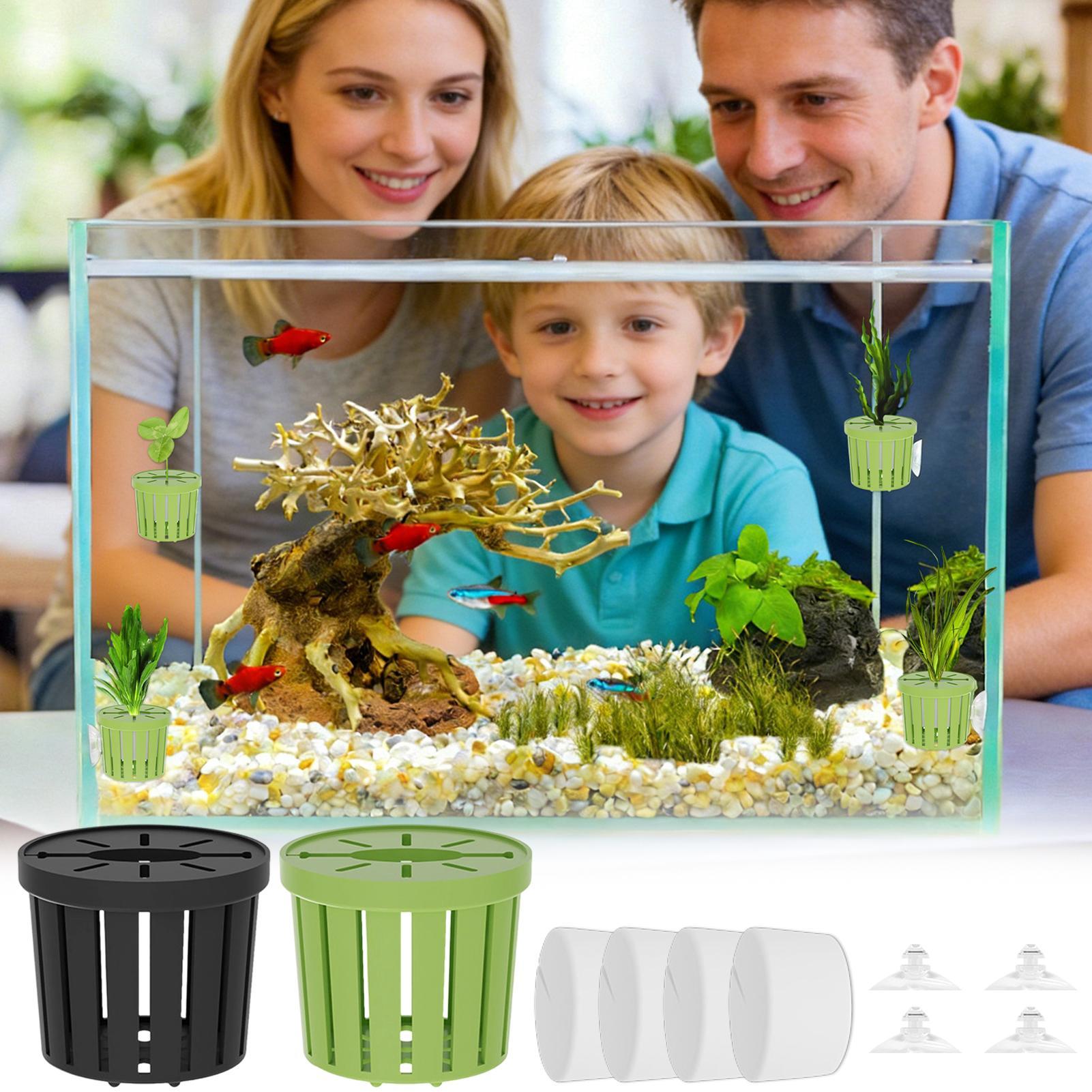4 Pieces Hydroponic Plant Bask - đánh giá và giá Aquarium Planted Background
