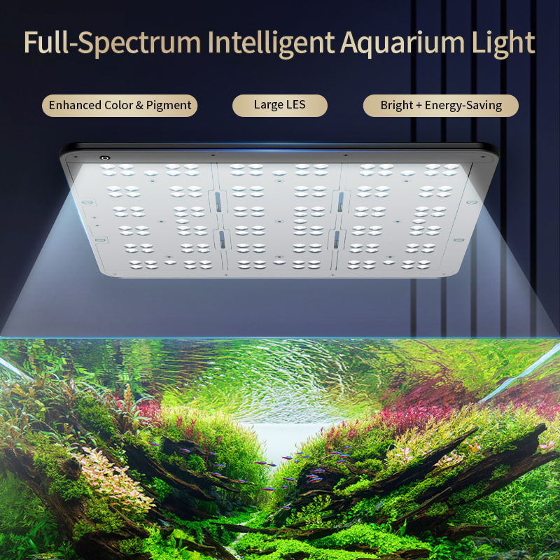 KASSRAY T200/T300 IR-A+UV Natu - đánh giá và giá Planted Aquarium Uv Light