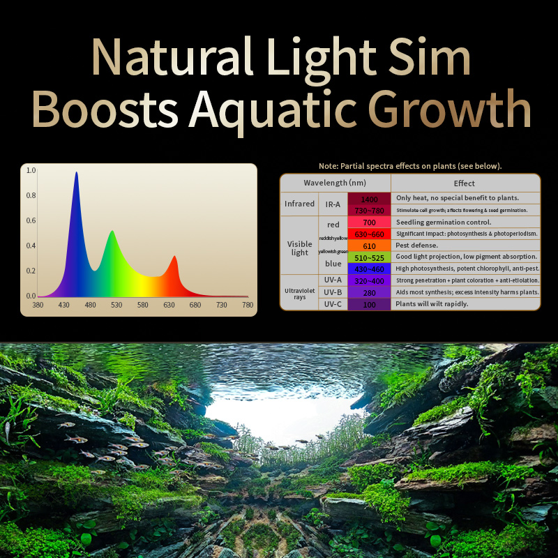 KASSRAY T200/T300 IR-A+UV Natu - đánh giá và giá Planted Aquarium Uv Light