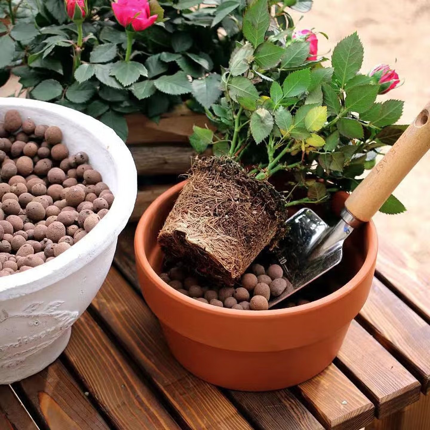100-500g Reusable Hydroponic C - đánh giá và giá Aquasoil Substrate