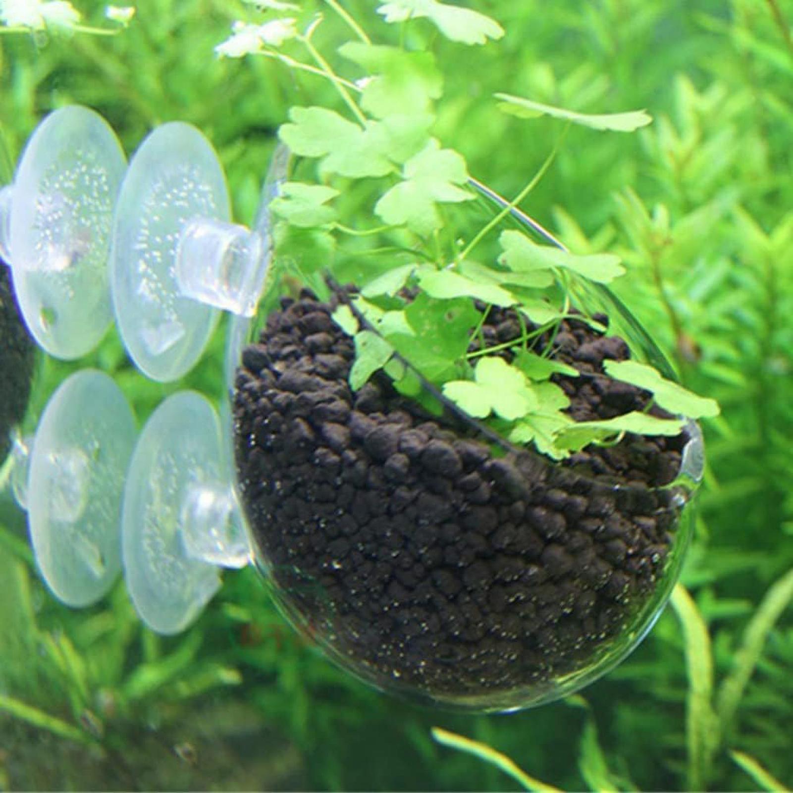 Aquarium Plant Holder Glass Aq - đánh giá và giá Aquarium Plant Vine