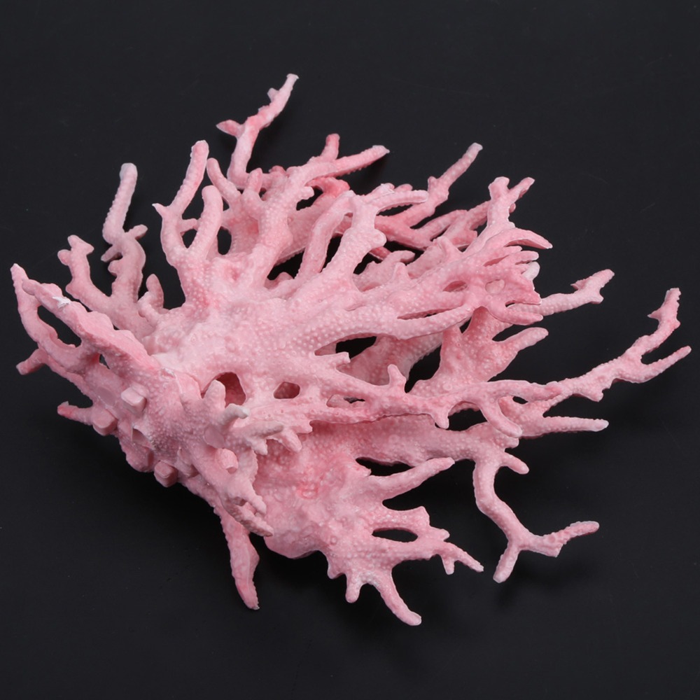 Decoration Accessories Colorfu - đánh giá và giá Aquarium Planted Background
