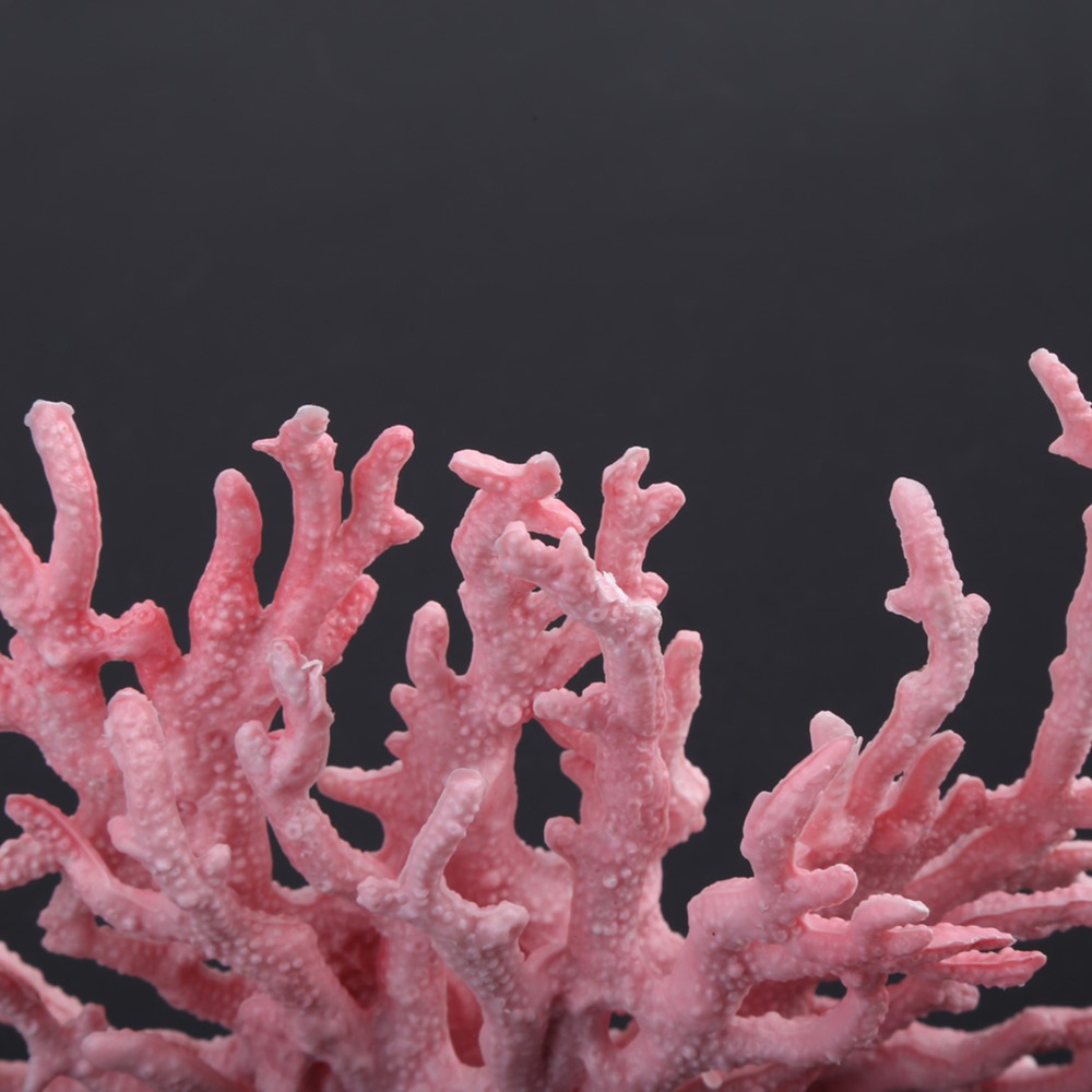 Decoration Accessories Colorfu - đánh giá và giá Aquarium Planted Background