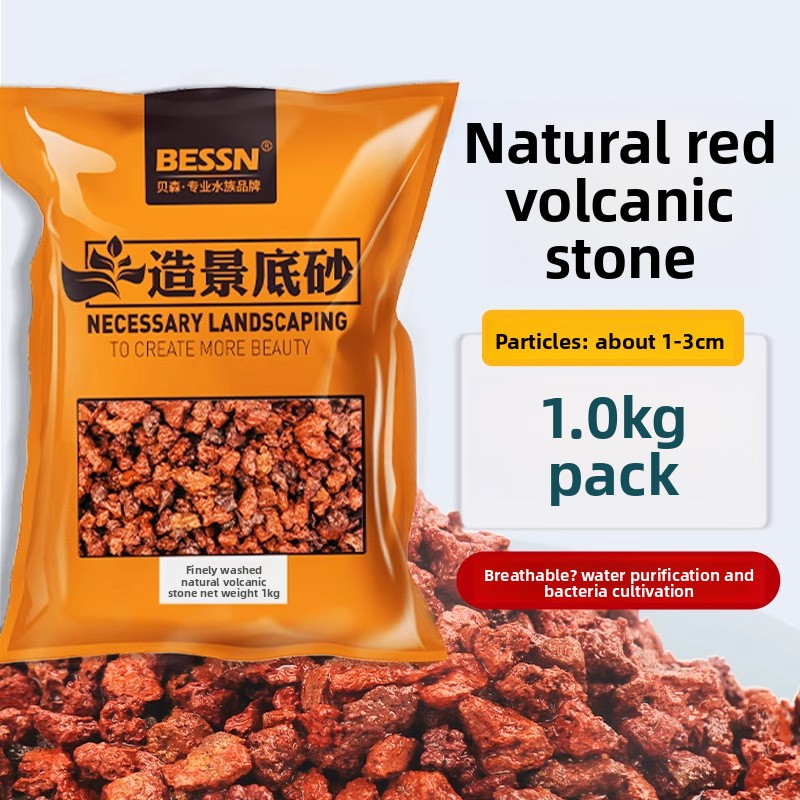 BESSN Volcanic Rock Aquarium S - đánh giá và giá Planted Aquarium With Sand