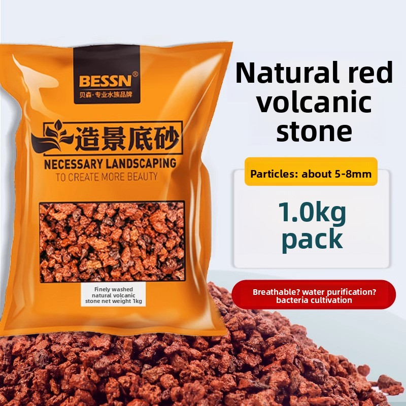BESSN Volcanic Rock Aquarium S - đánh giá và giá Planted Aquarium With Sand