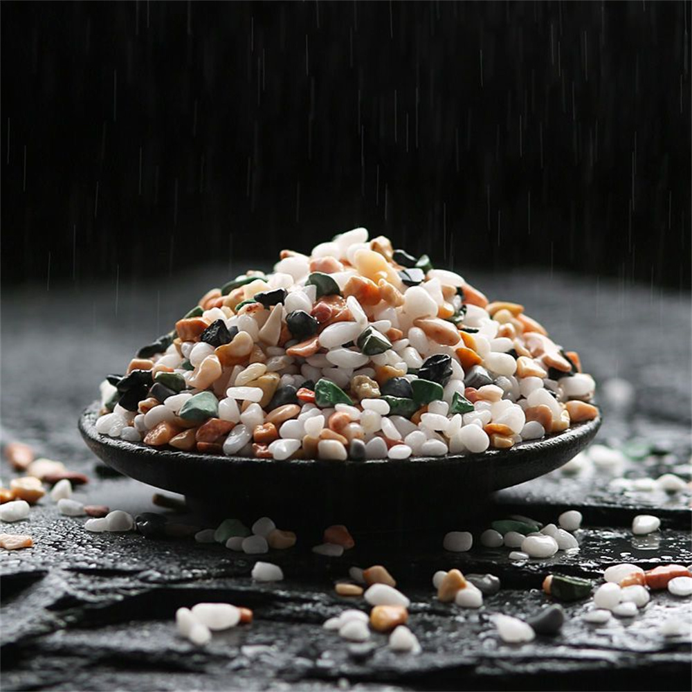 50/Tự Nhiên 100G Tinh Thể Sỏi  - đánh giá và giá Planted Aquarium With Sand