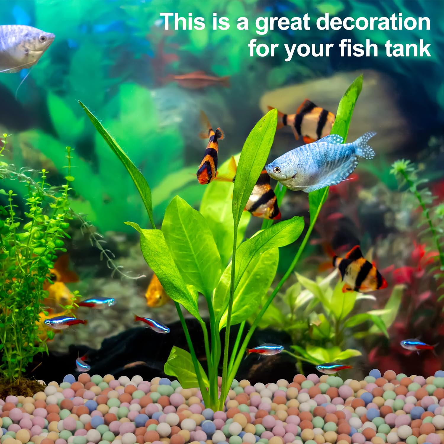 Hydroponic Plant Decorative Co - đánh giá và giá Aquasoil Substrate