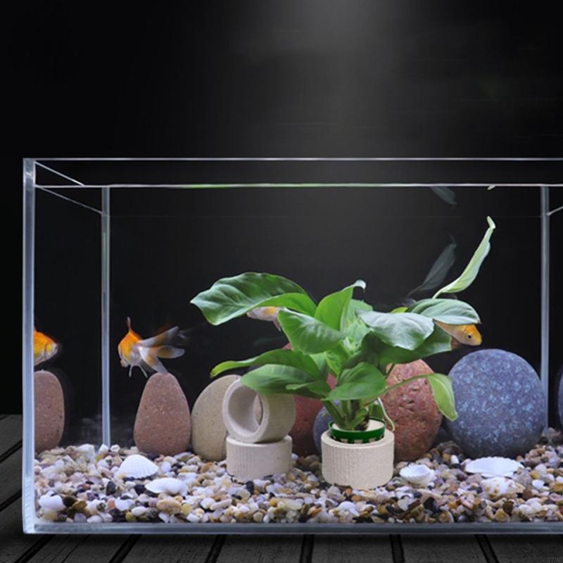 37ME 10 Chiếc Bể Cá Vật Có Cố  - đánh giá và giá Aquarium Planted Background