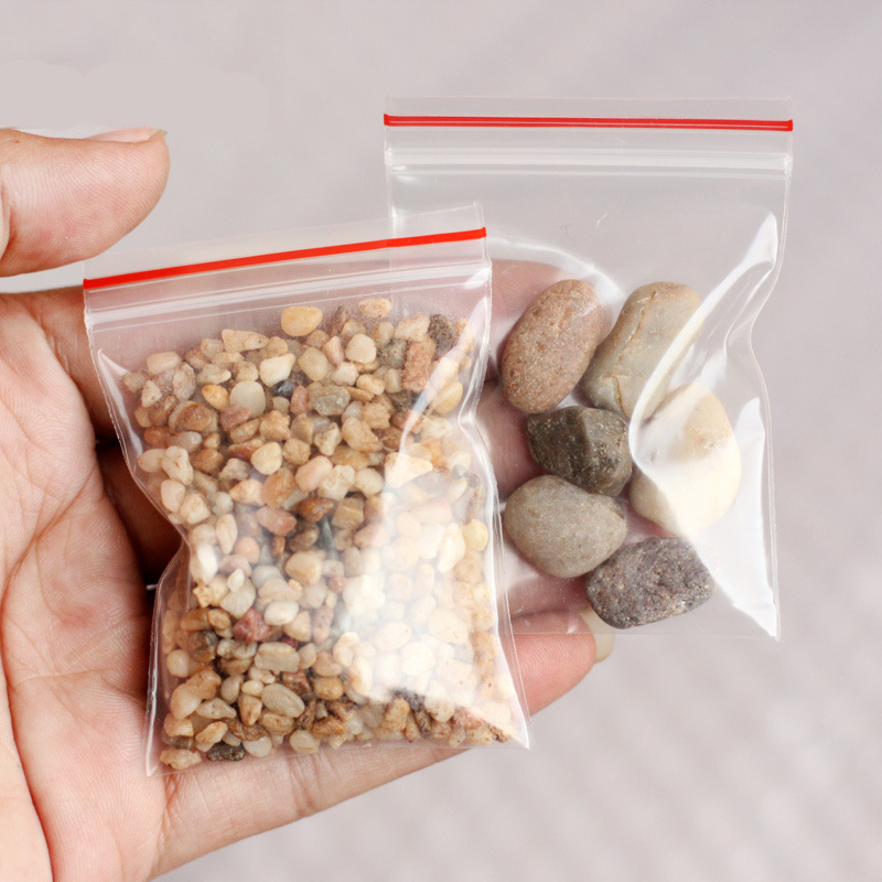 Micro Phong Cảnh Trang Trí Sân - đánh giá và giá Planted Aquarium With Sand