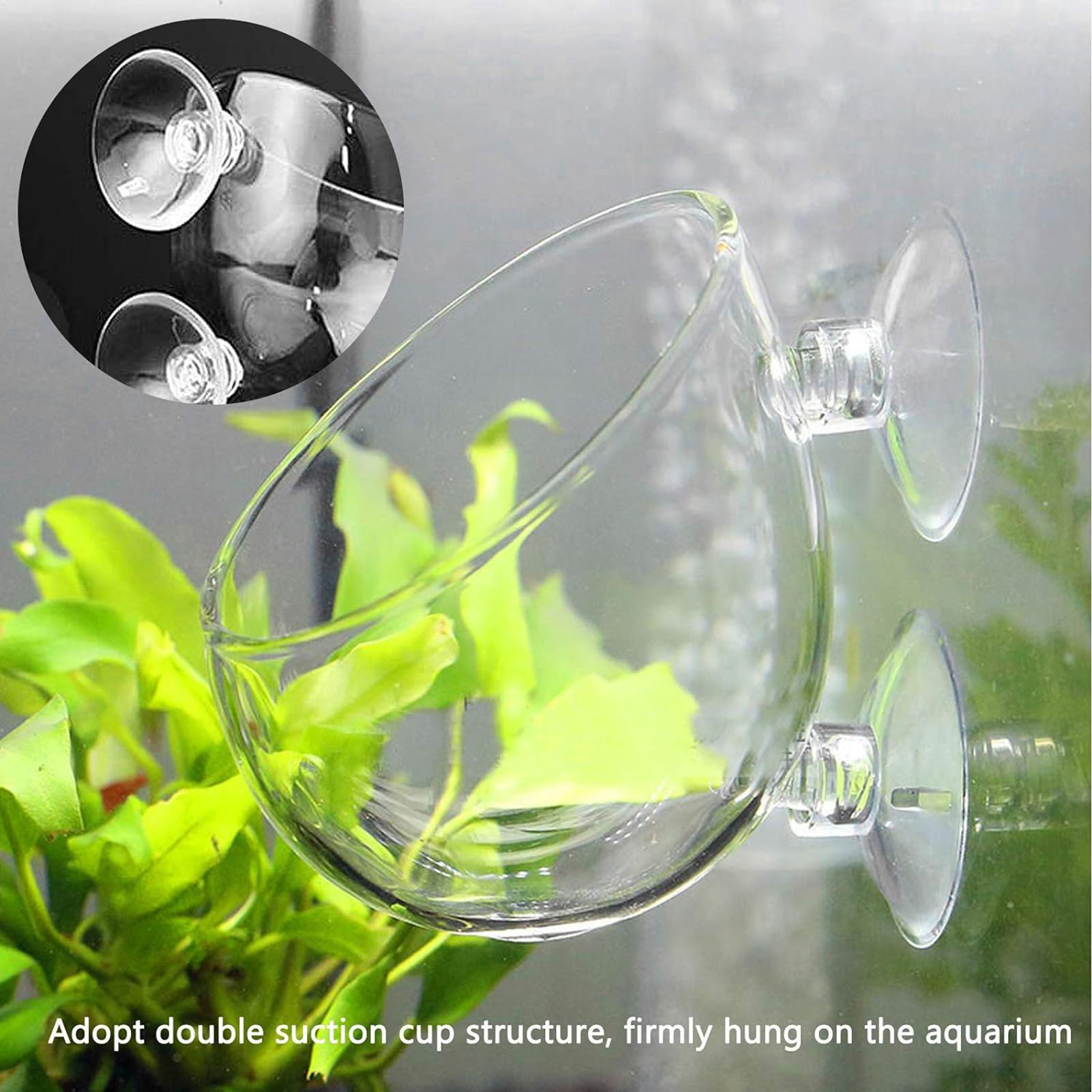 Aquarium Glass Plant Pot with  - đánh giá và giá Aquarium Plant Vine