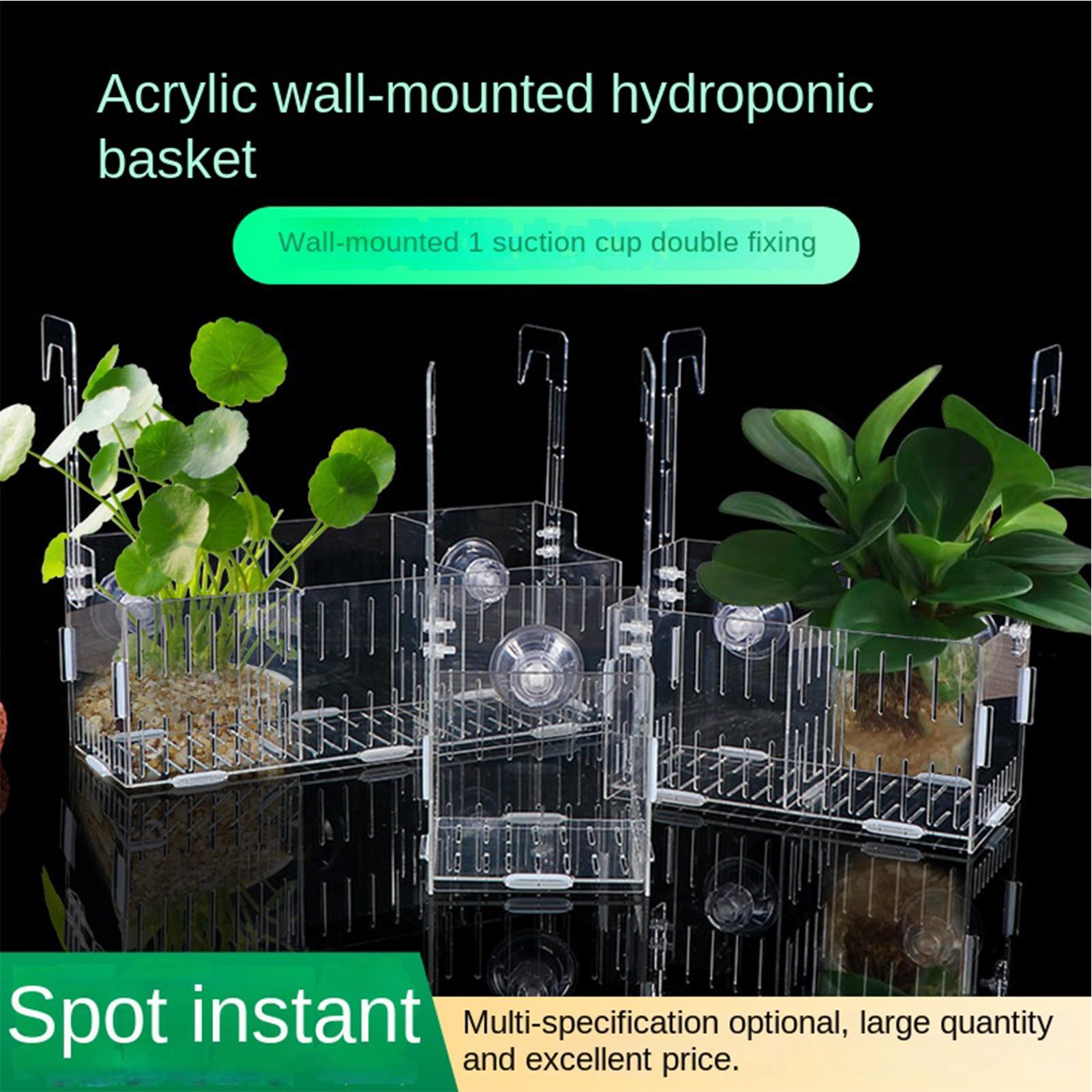 Acrylic Aquarium Plant Holder  - đánh giá và giá Aquarium Plant Vine