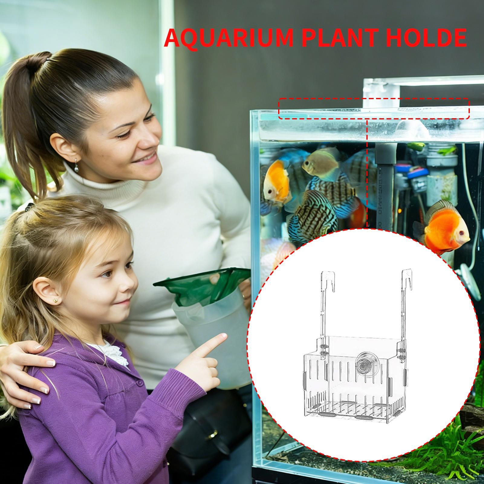 Acrylic Aquarium Plant Holder  - đánh giá và giá Aquarium Plant Vine