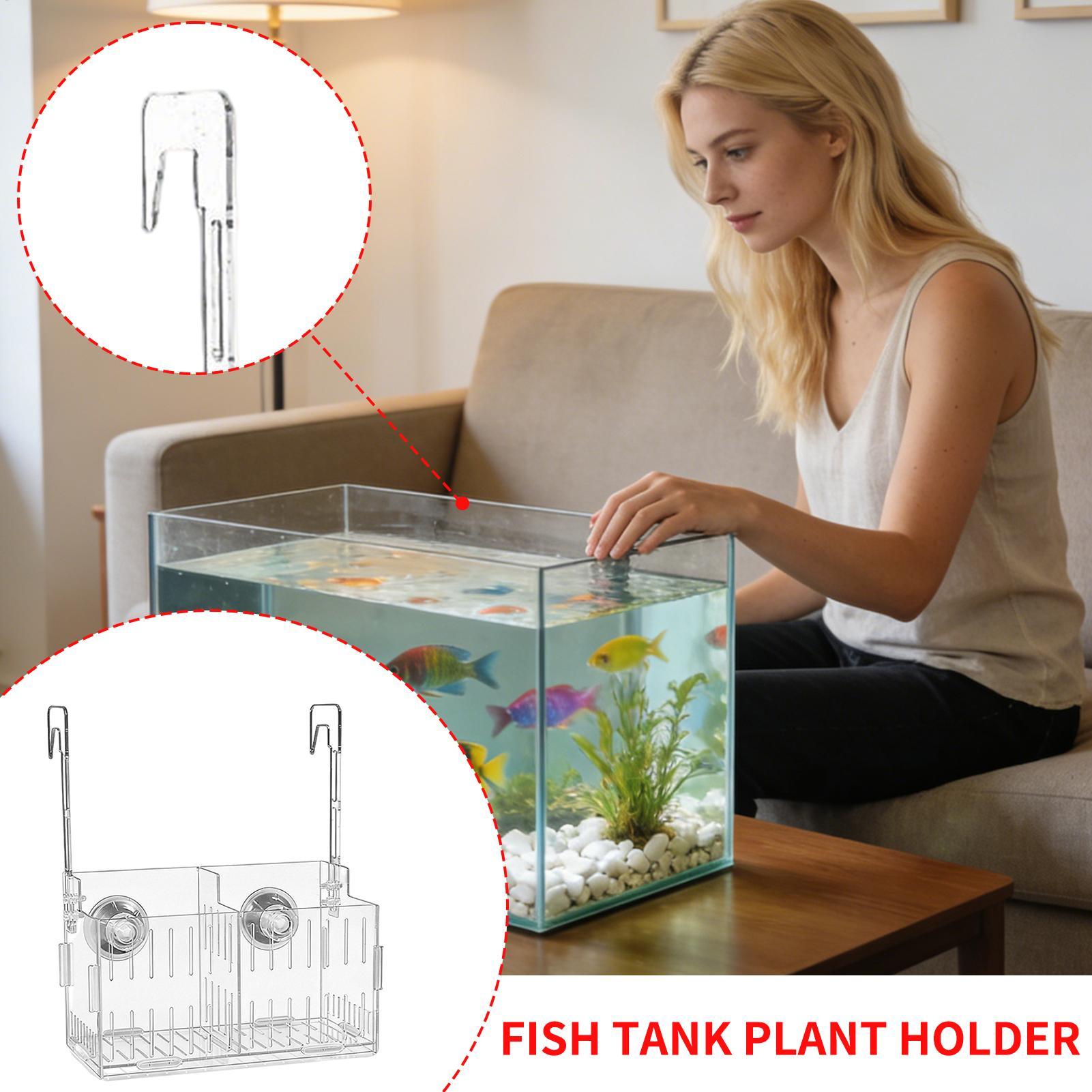 Acrylic Aquarium Plant Holder  - đánh giá và giá Aquarium Plant Vine
