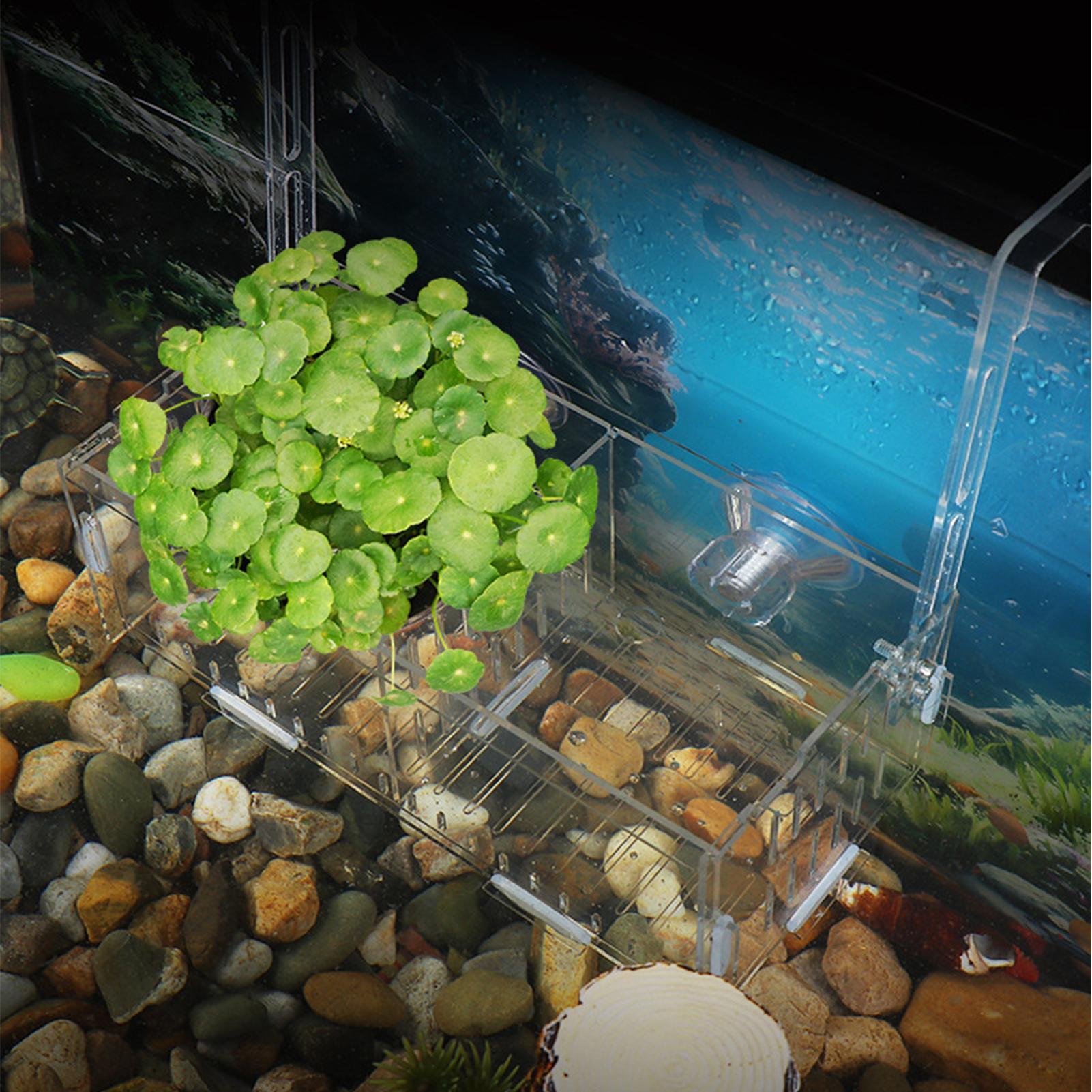 Acrylic Aquarium Plant Holder  - đánh giá và giá Aquarium Plant Vine