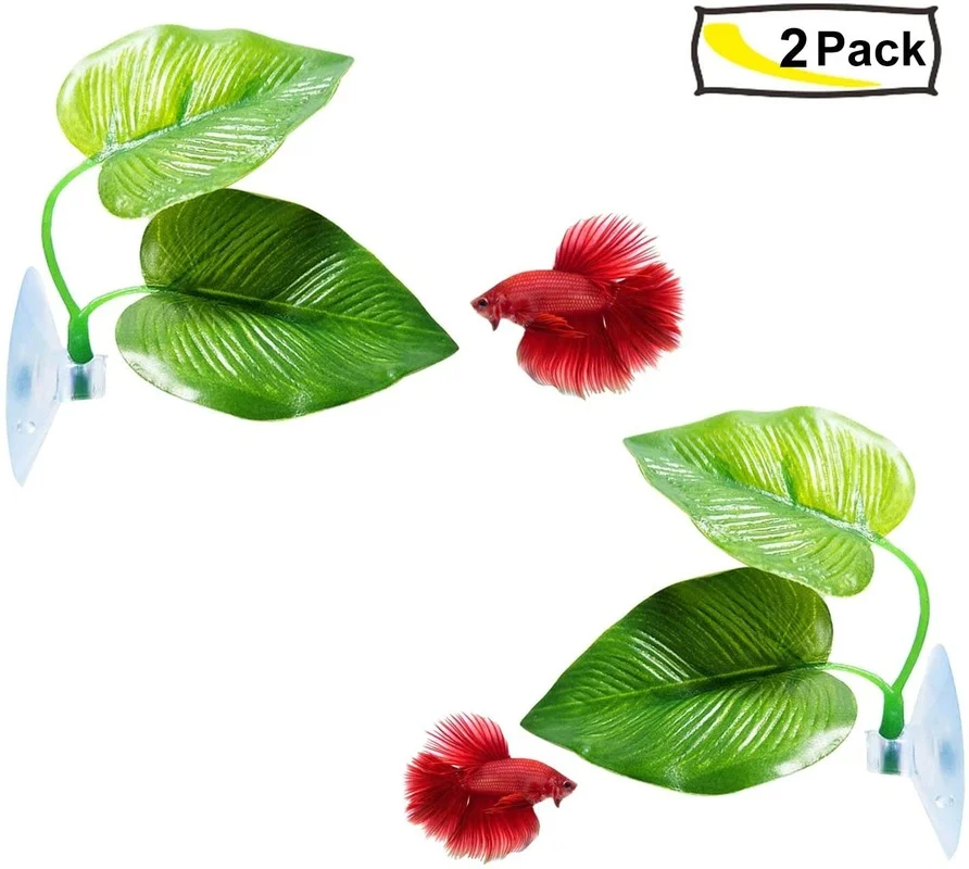 4 Gói Cá Betta Lá Võng Mô Phỏn - đánh giá và giá Aquarium Plant Design