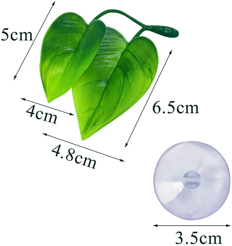4 Gói Cá Betta Lá Võng Mô Phỏn - đánh giá và giá Aquarium Plant Design