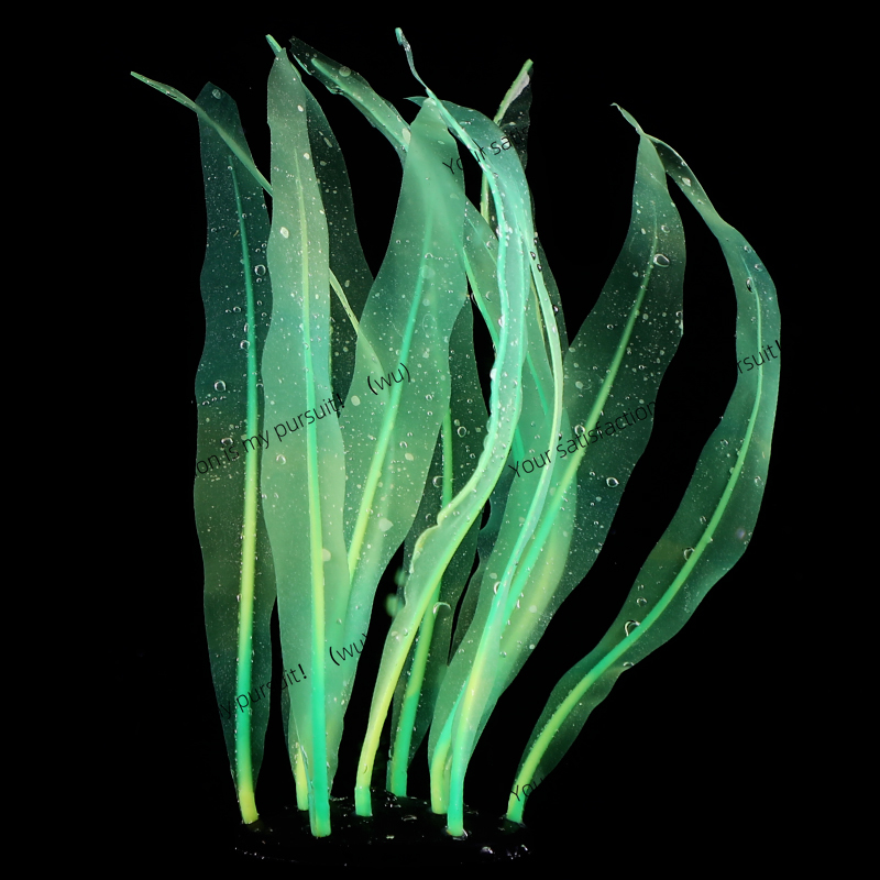 Simulated Kelp Plant Decoratio - đánh giá và giá Aquarium Plant Gel