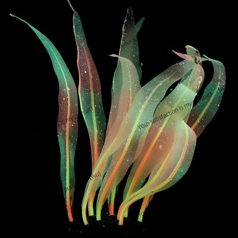 Simulated Kelp Plant Decoratio - đánh giá và giá Aquarium Plant Gel