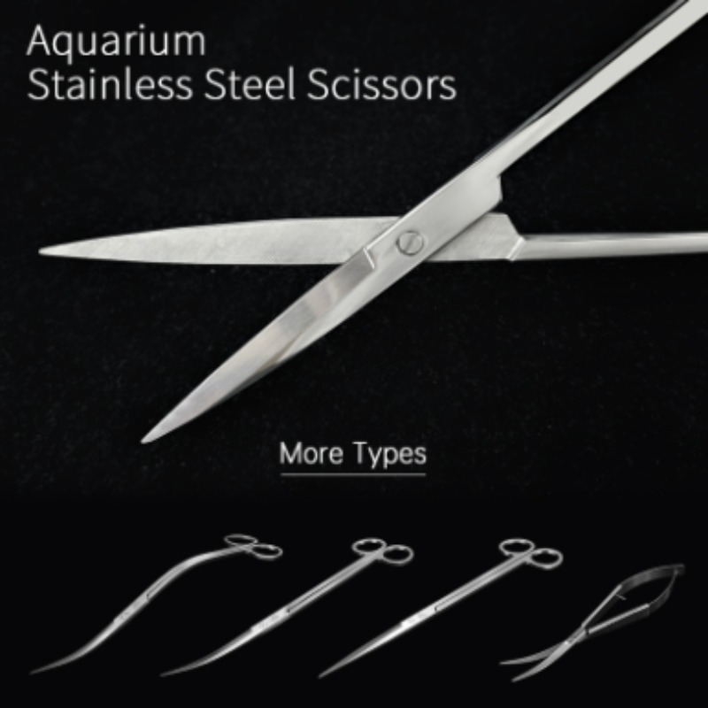 Week Aqua Stainless Steel Aqua - đánh giá và giá Aquarium Plants Book