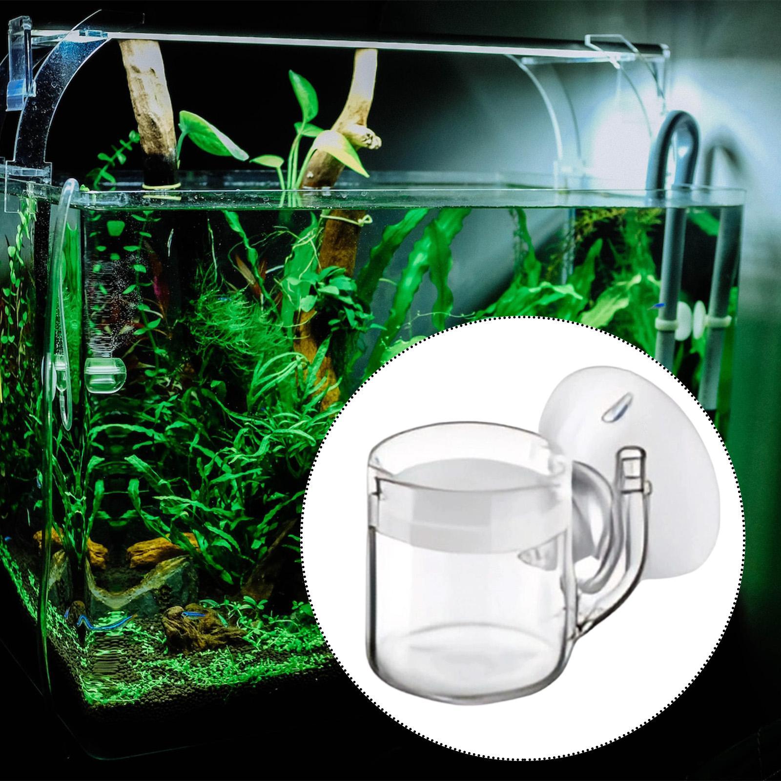 Aquarium Diffuser Glass CO2 At - đánh giá và giá Planted Aquarium Care