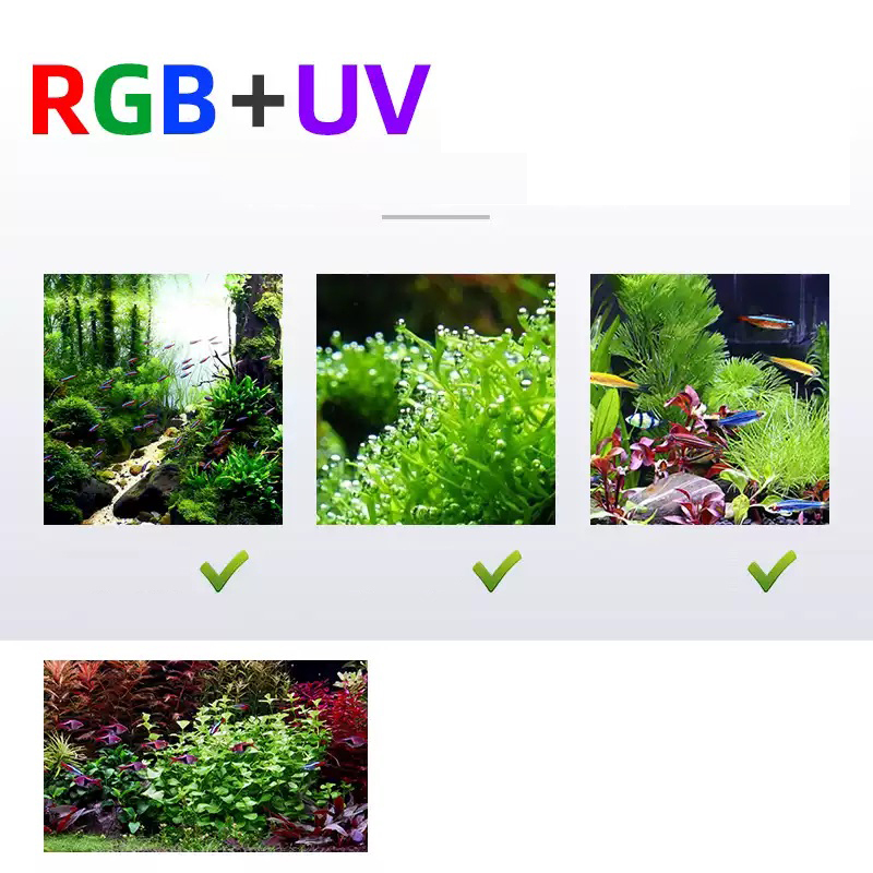 Led Lighting 60cm 80cm 90cm RG - đánh giá và giá Planted Aquarium Uv Light