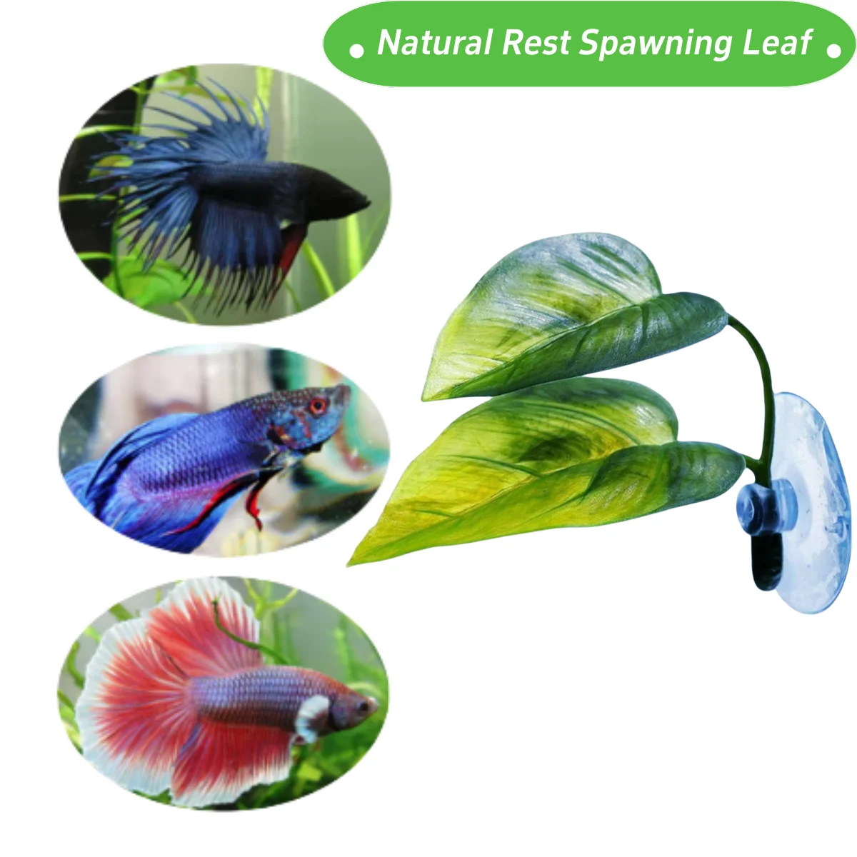 Pets Fish Tank Decor Betta Rel - đánh giá và giá Aquarium Plant Design