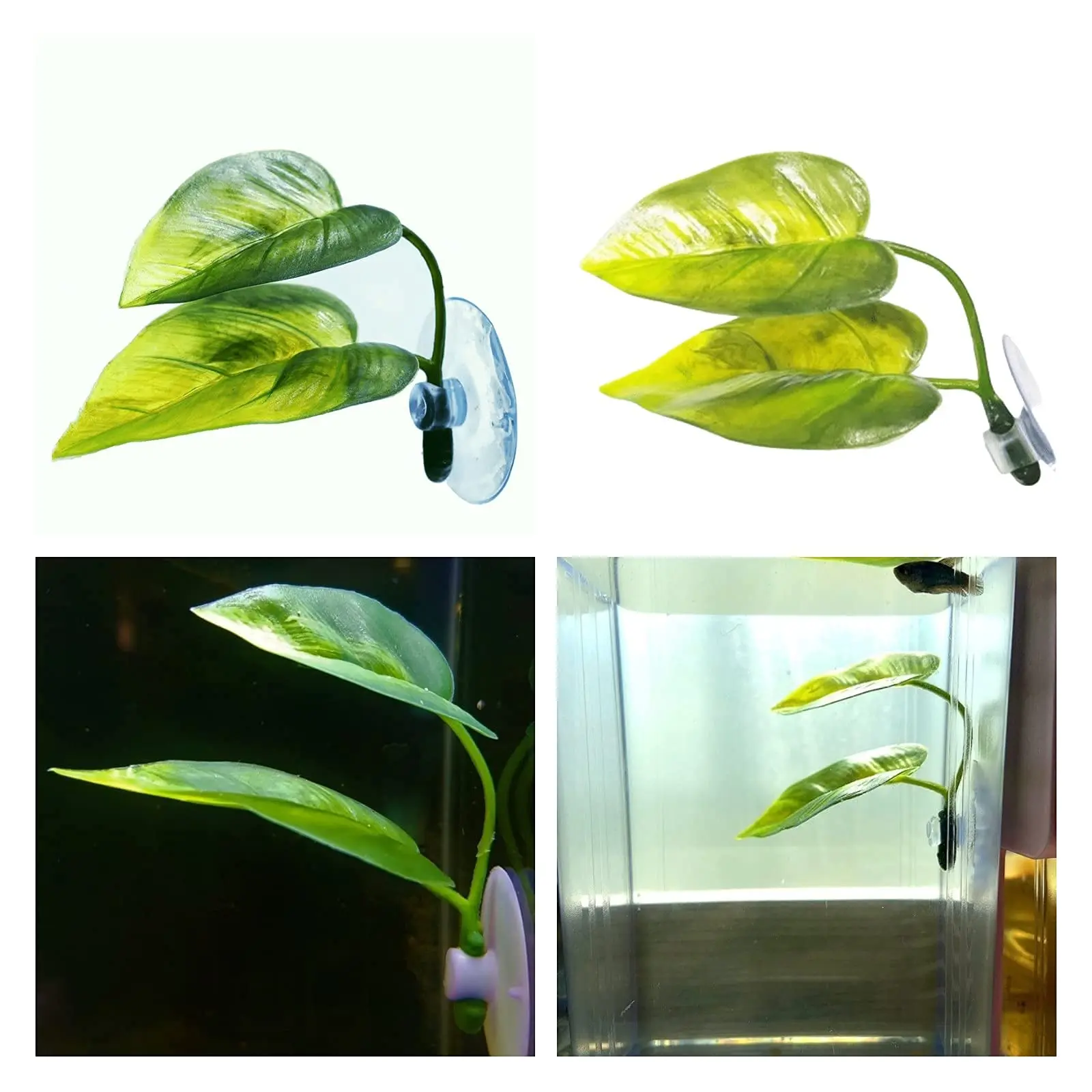Pets Fish Tank Decor Betta Rel - đánh giá và giá Aquarium Plant Design