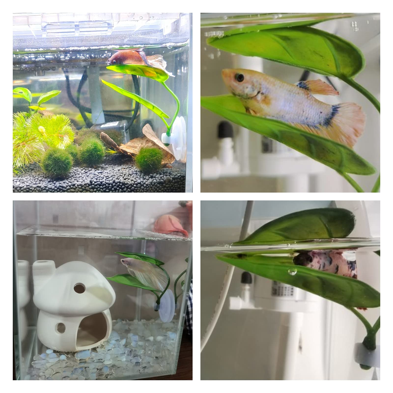 Pets Fish Tank Decor Betta Rel - đánh giá và giá Aquarium Plant Design