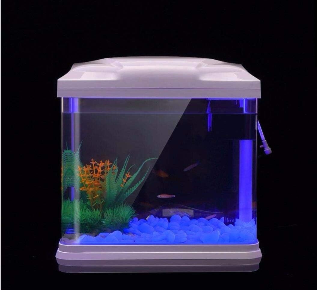 Fish Tank Rocks Glow Blue Pebb - đánh giá và giá Aquarium Plants Book