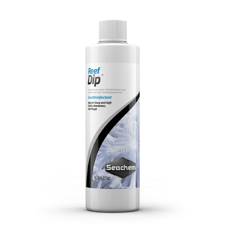 Coral Protectant Flatworm Remo - đánh giá và giá Planted Aquarium Care