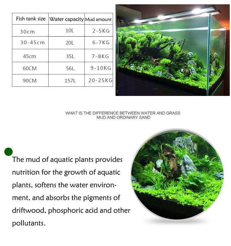 Bể Cá Cảnh Vật Có Hạt Đất Fish - đánh giá và giá Planted Aquarium With Sand