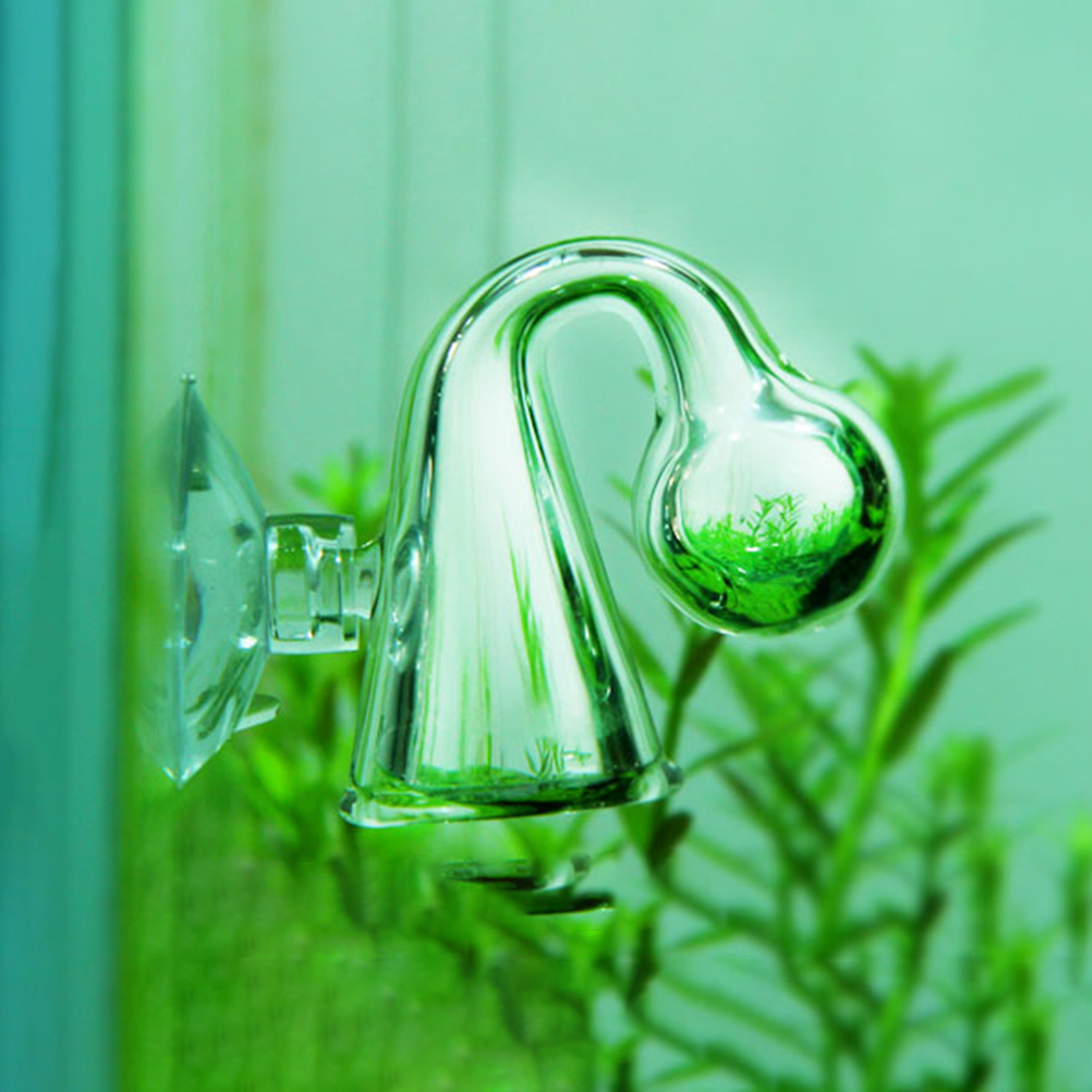 Fish Tank CO2 Diffuse Glass Dr - đánh giá và giá Aquarium Plants Book