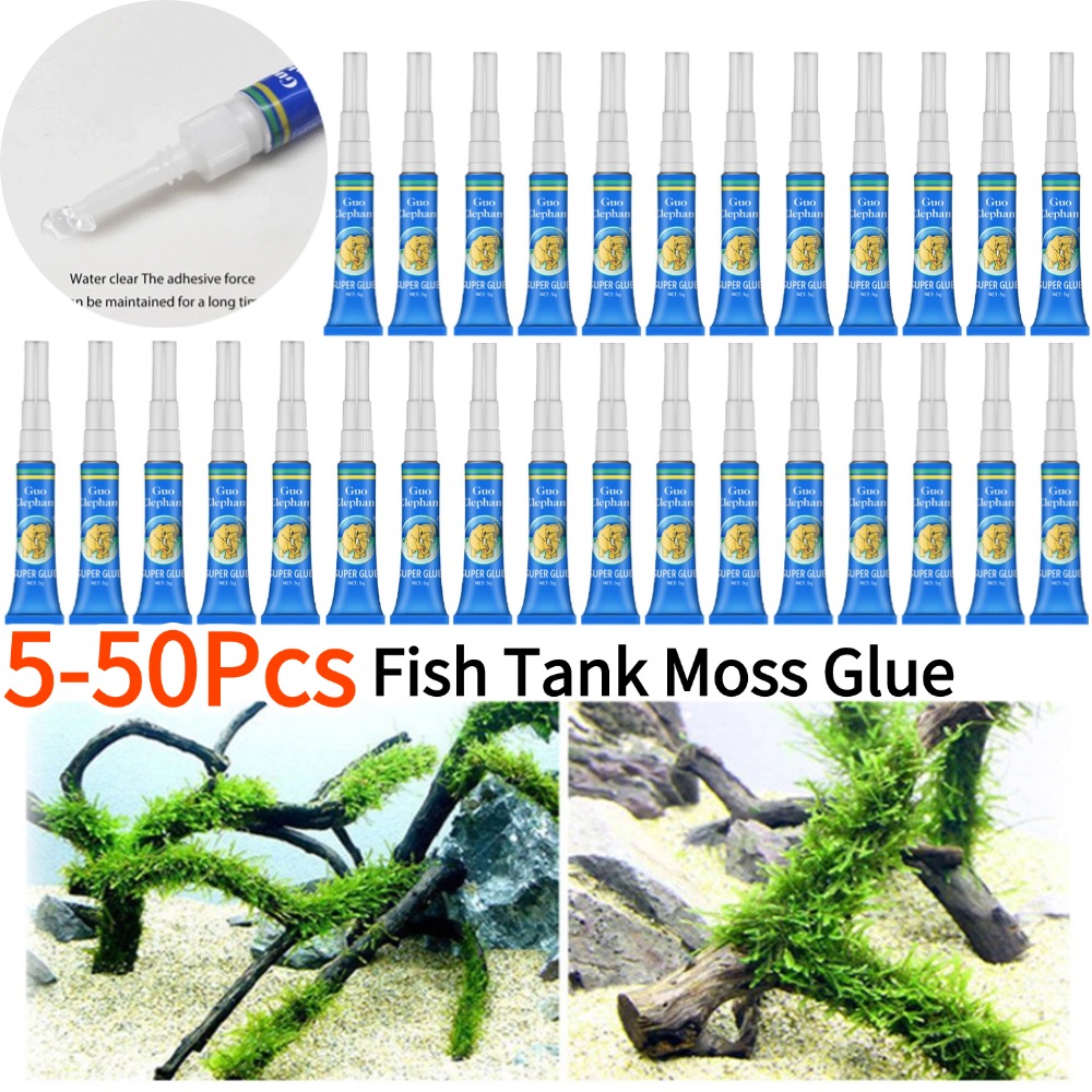 50-5Pcs Fish Tank Landscaping  - đánh giá và giá Aquarium Plant Gel