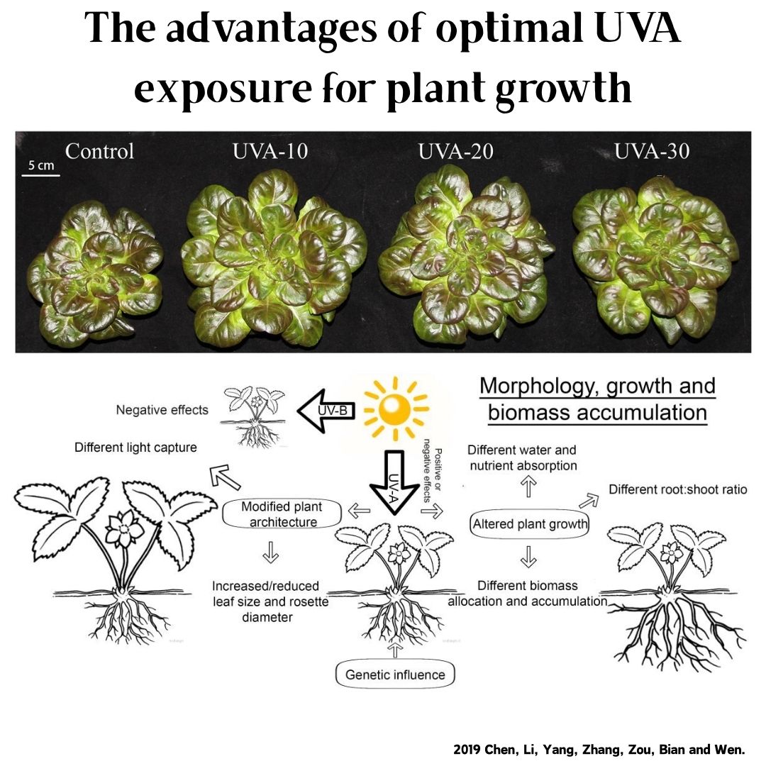 Week Aqua M Series RGB+UV Wate - đánh giá và giá Planted Aquarium Uv Light
