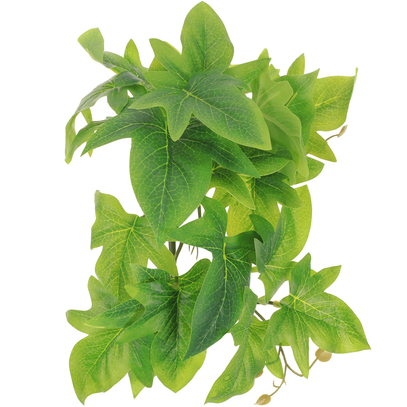 Reptile Terrarium Plant Wall M - đánh giá và giá Aquarium Plant Vine