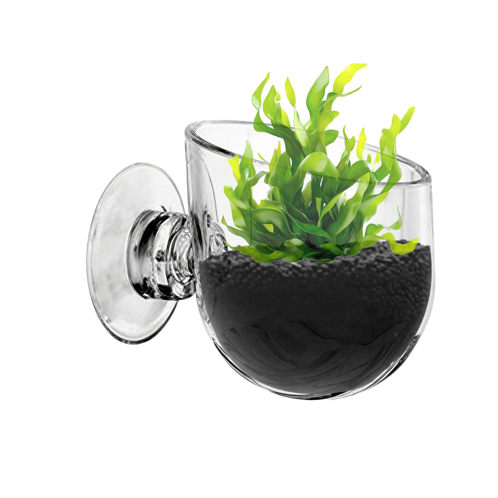 Aquarium Plant Holder Acrylic  - đánh giá và giá Aquarium Planted Background
