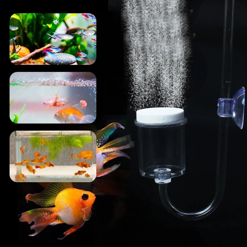 4pcs Set DIY CO2 Diffuser For  - đánh giá và giá Aquarium Plant Gel