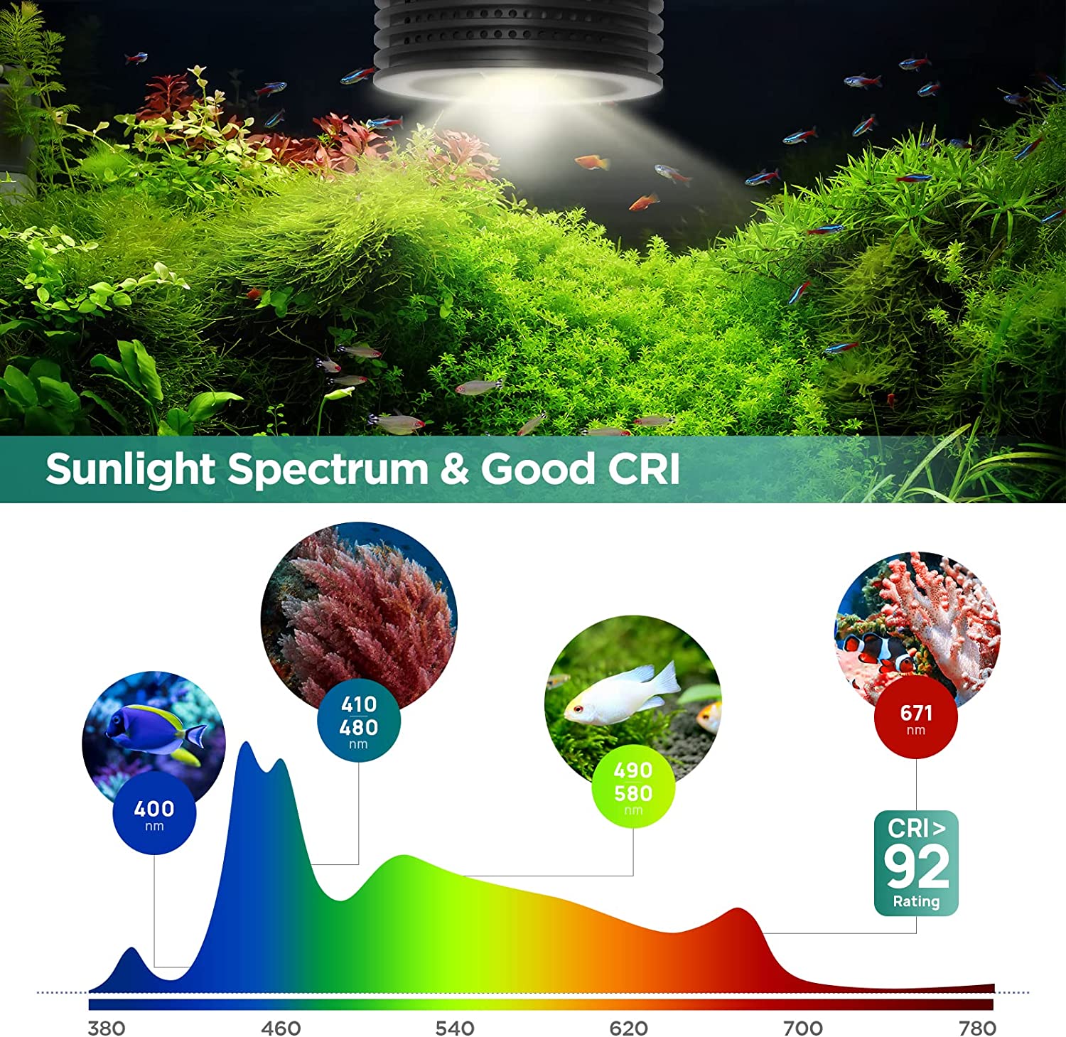 Lominie Asta 20 Freshwater 18W - đánh giá và giá Planted Aquarium Uv Light